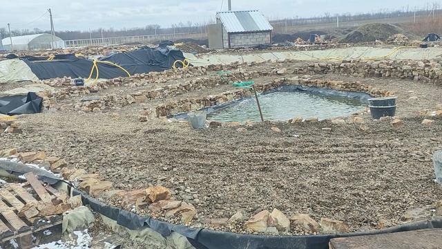 реконструкция водоема в питомнике продолжается