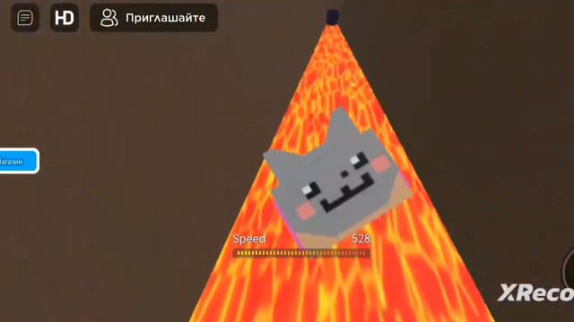 Если это видео наберёт 35лайков то я солью своё имя в роблоксе