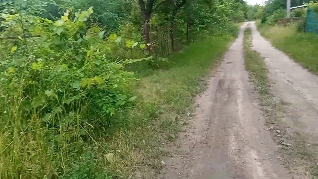 Приехала на дачи...ищу Джесси и девочек
