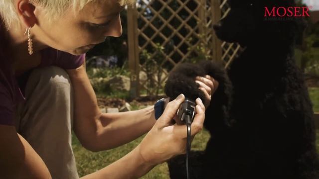 Moser Animalline. Moser для животных.