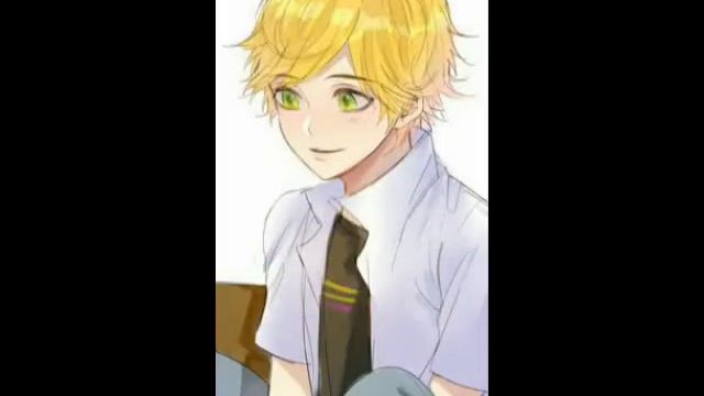 Адриан Агрест||Леди Баг и Супер-Кот||