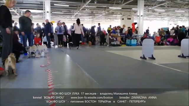 Лукашик 17 мес