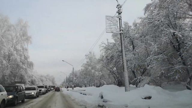 Оттепель в Барнауле. Деревья покрыты клочьями белого пушистого снега. Зимняя сказка