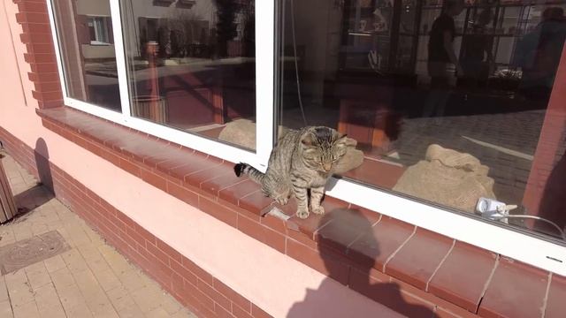 Туризм в Калининграде сдулся? Что происходит сейчас в Зеленоградске