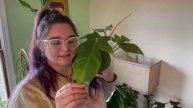 Top Favorite Fall Houseplants! 2021