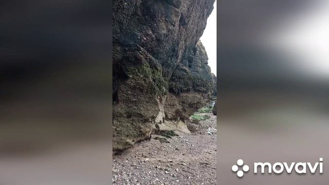 Ирландская пещера в виде головы лисы с выходом к океану