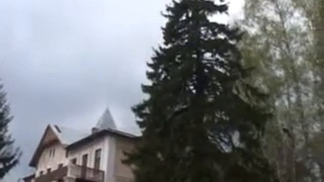 Деревья памятники живой природы. Республика Татарстан