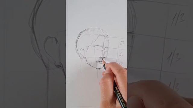 Как нарисовать лицо в ¾ и сохранить пропорции?