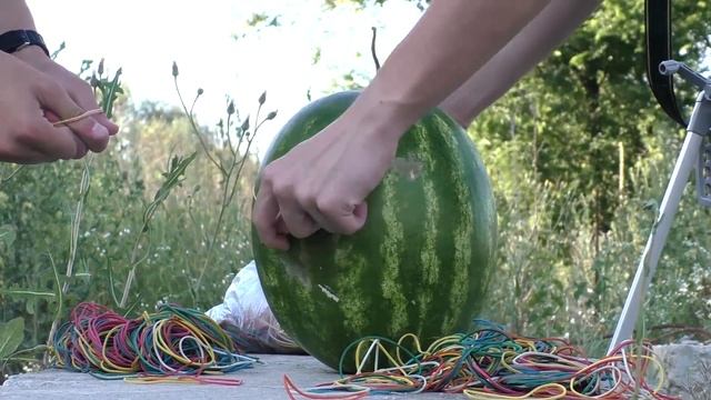 5 сумосбродных приколов с арбузом