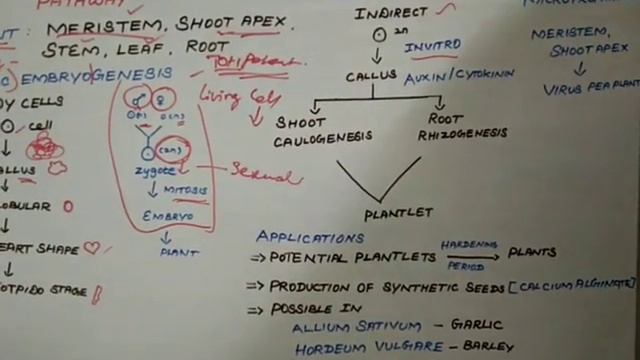 Somatic Embryogenesis--Tissue culture