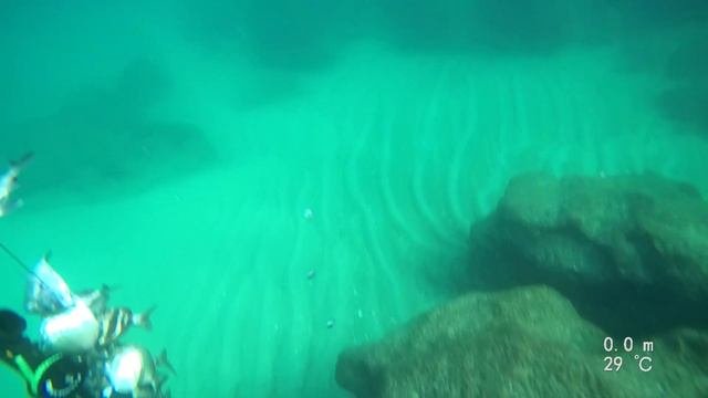 Подводная морская охота