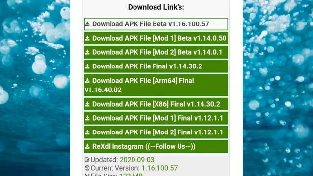 How to download Minecraft beta version 1.6+