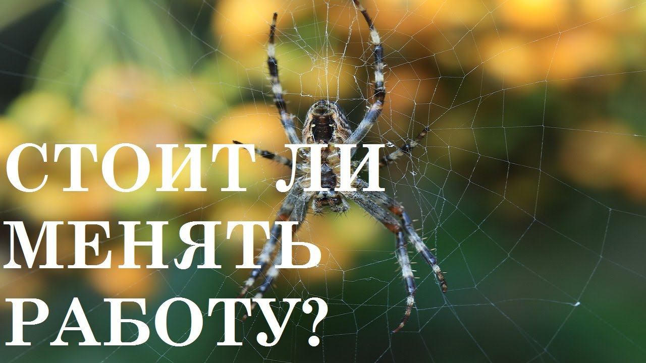 СТОИТ ЛИ МЕНЯТЬ РАБОТУ?