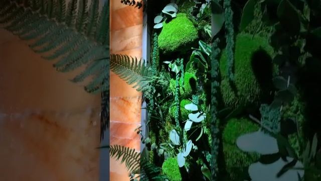 Фитостены из стабилизированных (консервированных) растений и мха.