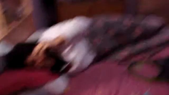 Todos Contra Peluche =)