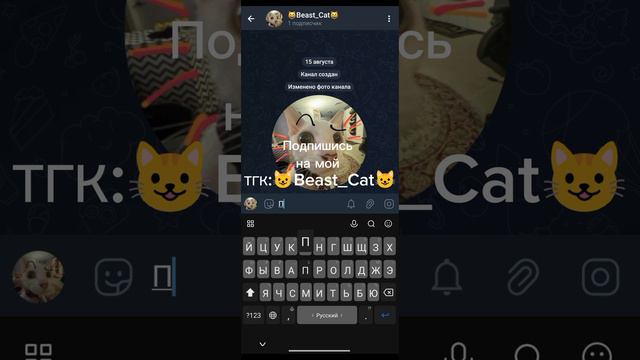 Подпишись на мой ТГК:😺Beast_Cat😺