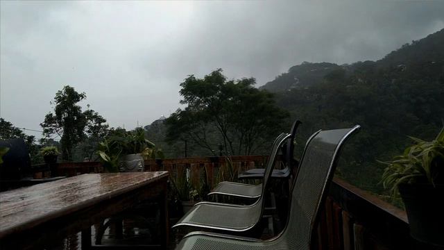 Drizzle | Sleep Well and Heal - Drizzle Sounds Help Anxiety