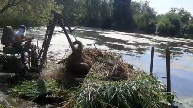Пруд в д Подчерково Дмитровского района