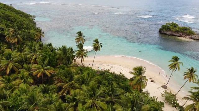 Тропический пляж и пальмы #пляж #пальмы #рай # райскийуголок #путешествие