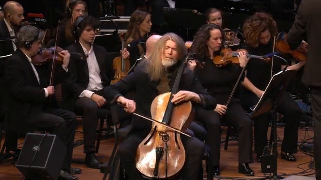 Svante Henryson - Concerto for Jazz Cello and Orchestra _ Cello Biennale 2022 ft Metropole Orchestra