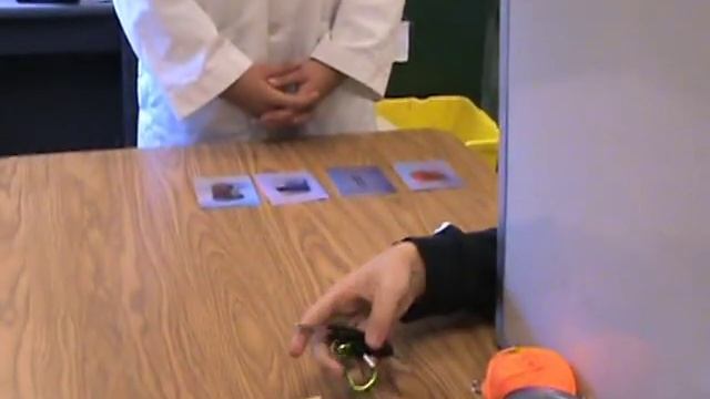 Sperry split brain experiment RE-ENACTMENT