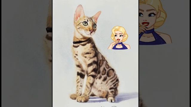 Котики 3 🐈