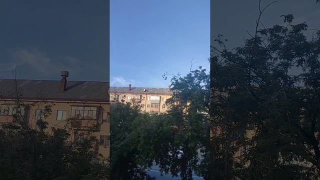 1000023557.mp4