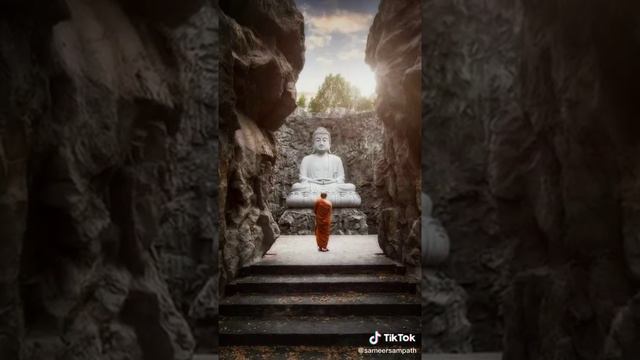 බෞද්ධ ලෝකවාසී ඔබ සැමට  පින්බර බිනර පොහෝ දිනයක් වේවා!!🙏🙏