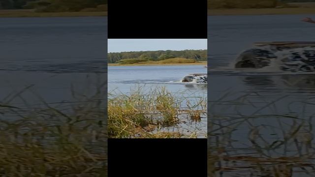 Поплыли