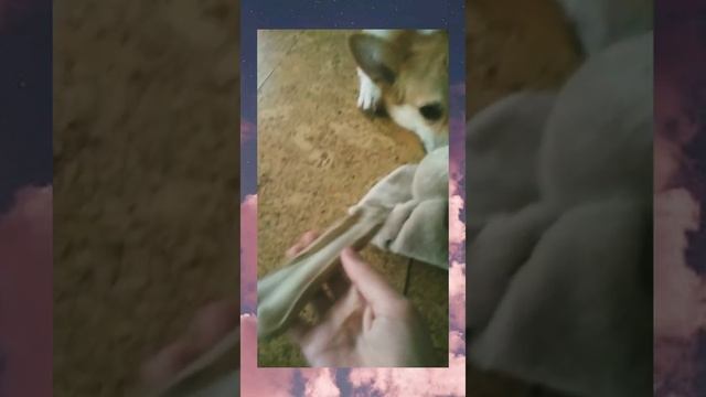 На даче в воскресенье