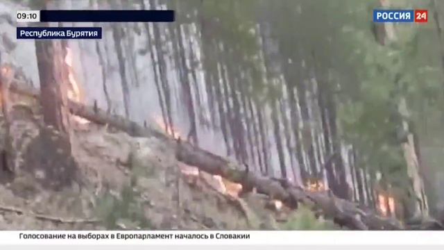 Россия 24_Природные пожары в регионах РФ