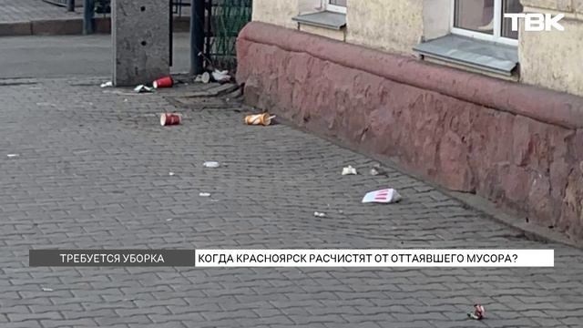Мусор во дворах и на улицах: кто должен следить за чистотой Красноярска?