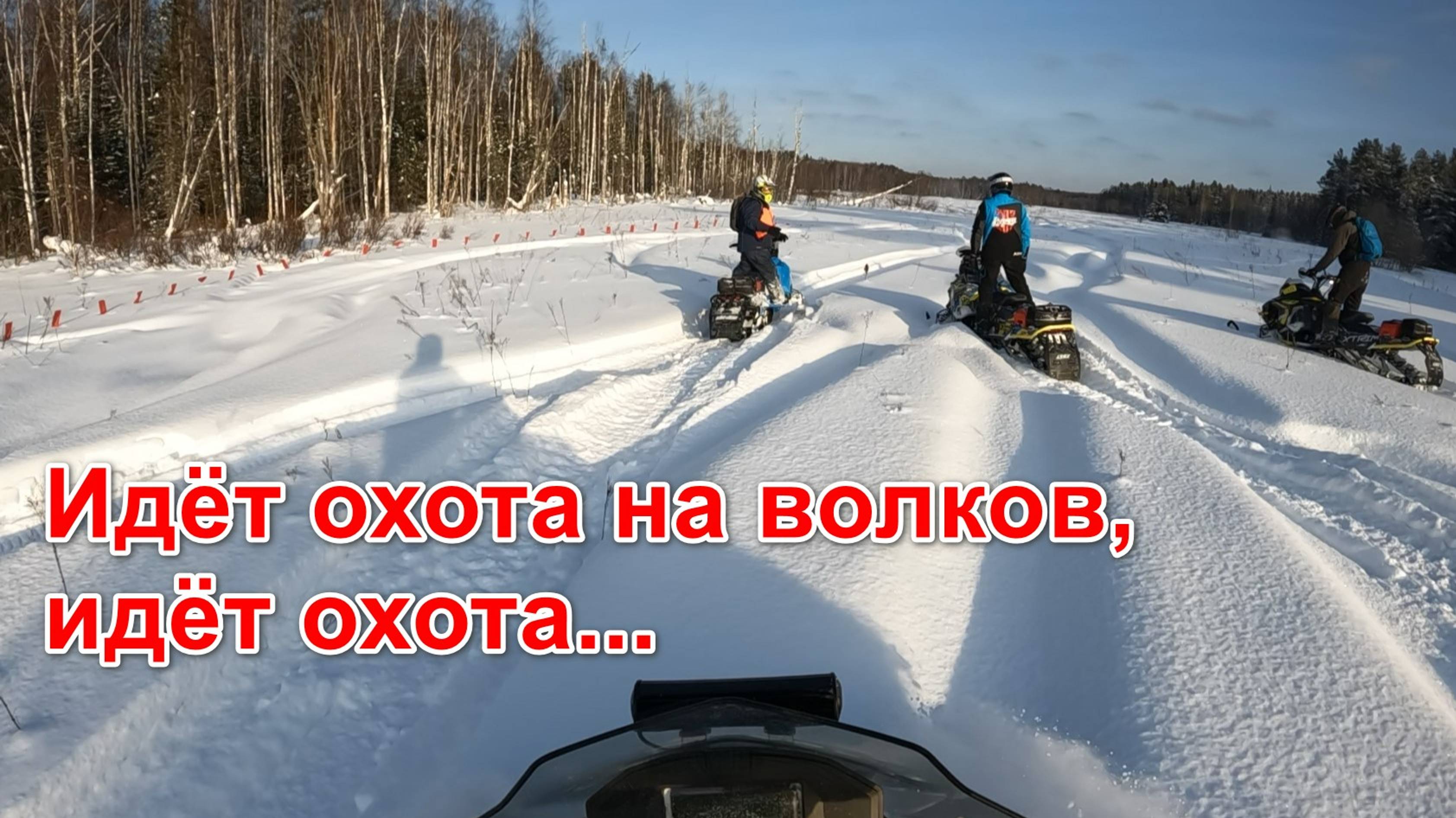 2024.02.17 Идёт охота на волков, идёт охота...