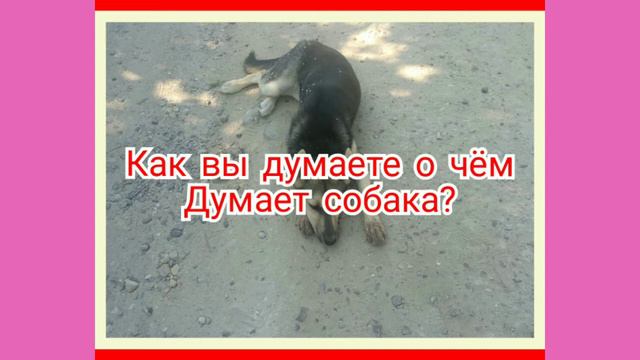 Там хорошо где есть мы, берегите животных, фауну и флору