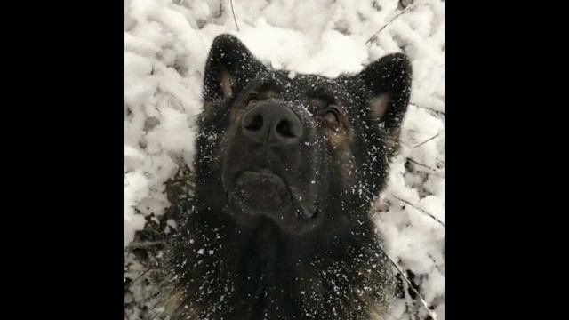 Слышите? Он совсем рядом...