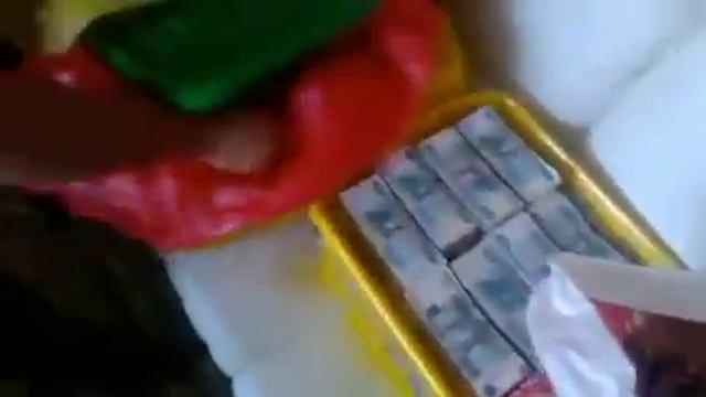 ДОЛЛАРЫ ВМЕСТО ФУНДАМЕНТА: ВИДЕО С ОБЫСКА В ДОМЕ ЧИНОВНИЦЫ ИЗ НОВОСИБИРСКА ПОВЕРГЛИ В ШОК