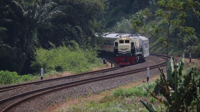 Rails and Views: Finding Tranquility in the Twists and Turns | Java Railfanning