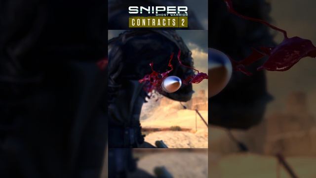 АНТИСНАЙПЕР Sniper Ghost Warrior Contracts 2 в 2024 году.