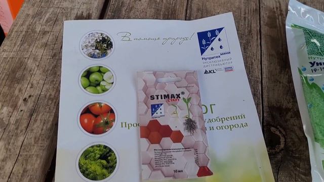 Укоренитель НУТРИТЕХ МИНИ, работаем по листу на рассаде клубники!