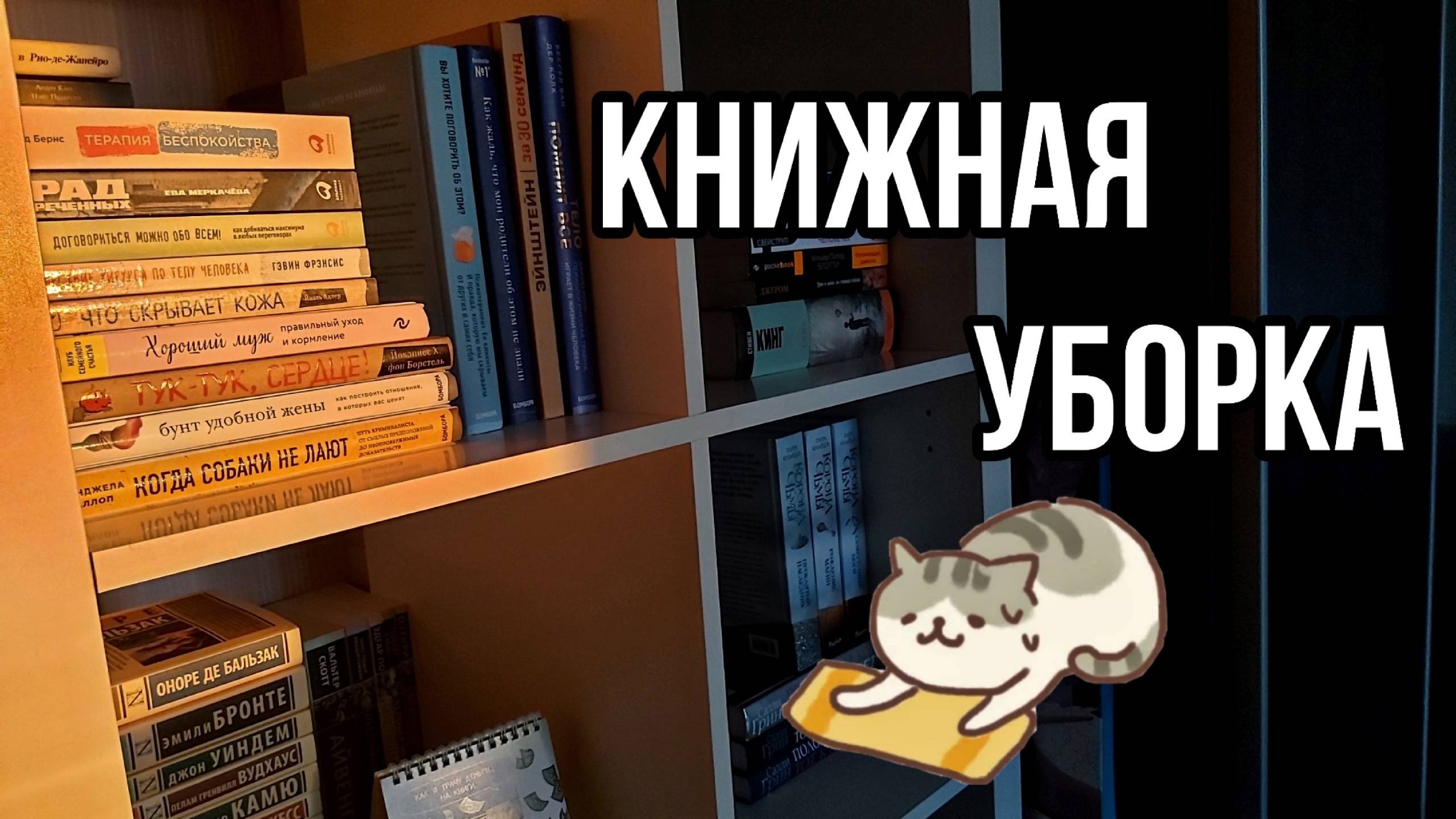 РЕОРГАНИЗАЦИЯ КНИЖНЫХ ПОЛОК 📔📚 УБОРКА на полках 🧽🧼