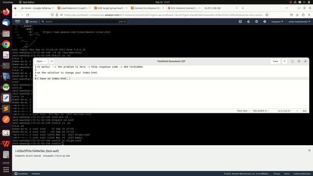 How to fix target group load balancer AWS - Health checks failed with these codes: 403