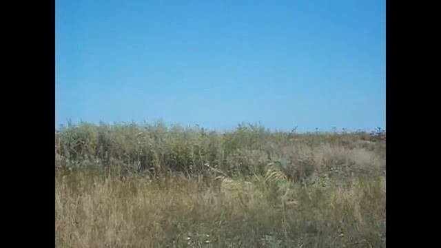 Полюшко-поле.avi