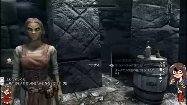 #13【SKYRIM】The Elder Scrolls V：雪山のダンジョンを後回しにしてとりあえず暗殺ギルドに入ろうと思って放送外で街までやってきたお姫様がここでも衛兵に追い掛け回されて困る物語