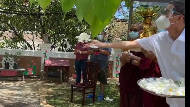 Bodhi Tree Philippines