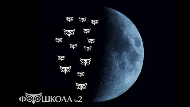 Выпуск 3 Как заработать начинающему фотографу
