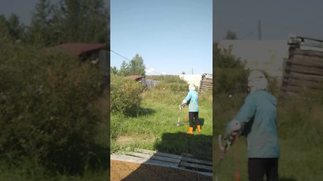 Непутёвый садовод. Я и трава.