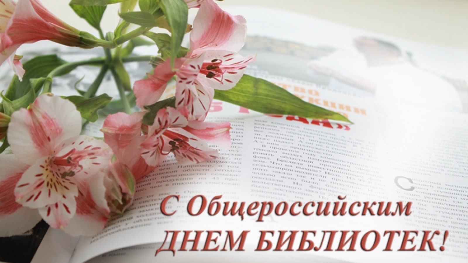 СОДБ поздравляет с Общероссийским днем библиотек!