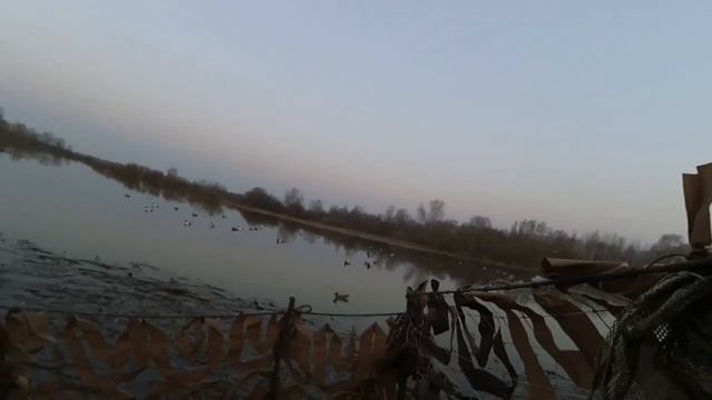 Охота на утку с Fabarm xlr waterfowler western, весна 2021