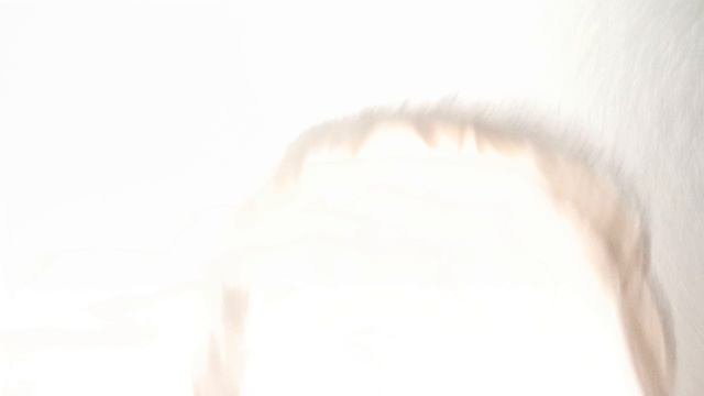 1000000243.mp4
