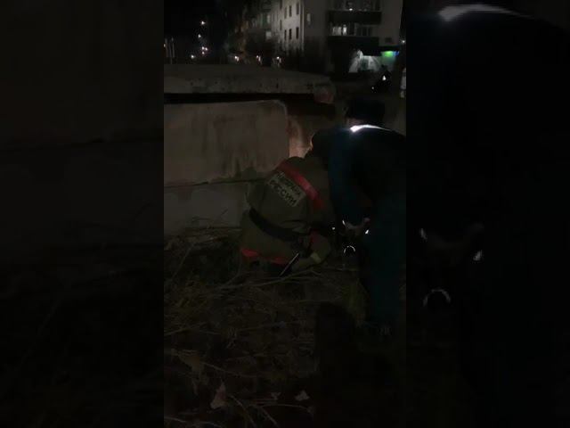 Спасение щенка в Усть-Куте